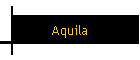 Aquila