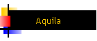 Aquila