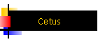 Cetus